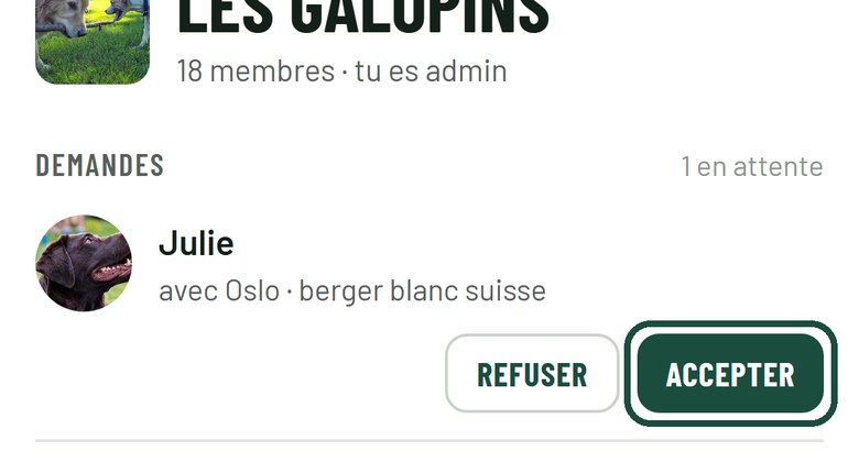 Étape 4 : Accepte les demandes