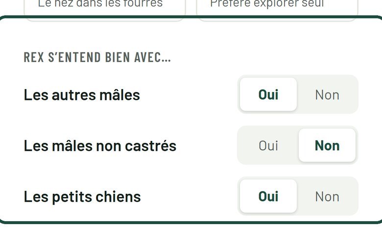 Étape 3 : La fiche de ton chien